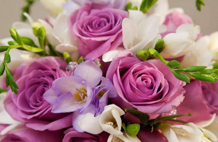 Why Should You Send a Bouquet to a Dear One?